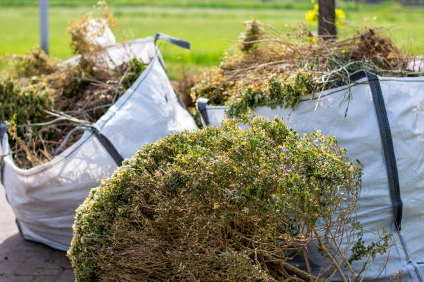 Best Professional Junk Removal  in Prceton, IN